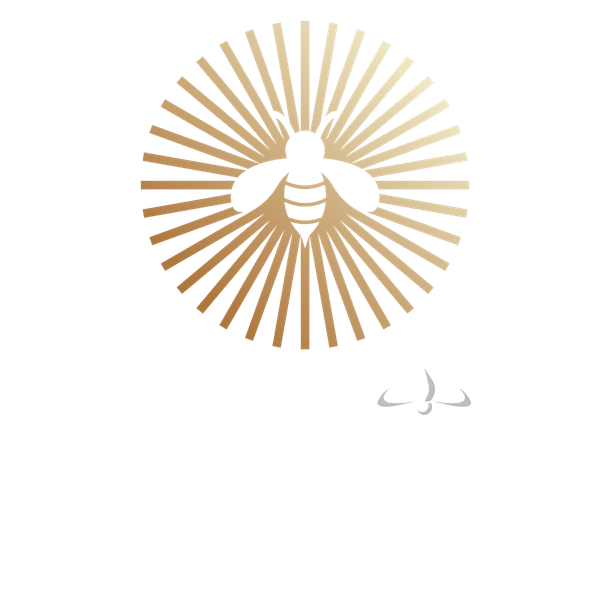 Maison Zue, reinvented brasserie and bar in Saumur by chef Marlon Medina