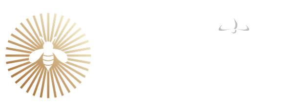 Maison Zue, ristorante, brasserie e bar a Saumur